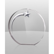  A843   circular star award